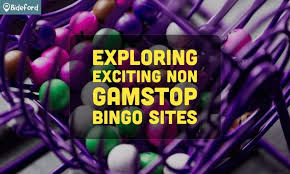 What Bingo Sites Are Not Understanding the Landscape 105884487