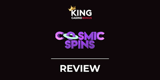 A Comprehensive Review of the Cosmic Puffin Experience