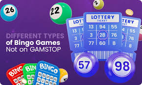 What Bingo Sites Are Not Understanding the Misconceptions 951107550